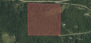 8259 Wallace RD.